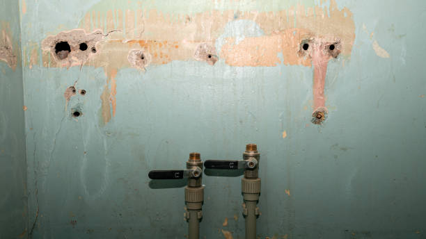 Best Flood restoration services  in Casa Blanca, AZ