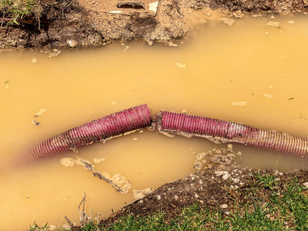 Best Water damage cleanup near me  in Casa Blanca, AZ