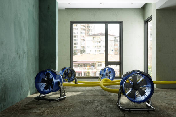 Best Ceiling water damage repair  in Casa Blanca, AZ